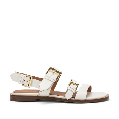Cream